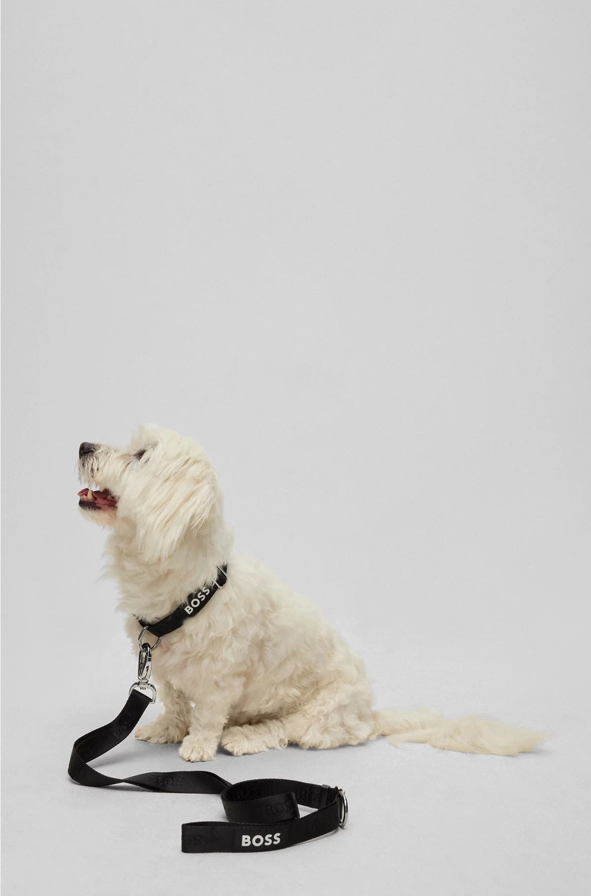 DOG COLLAR WITH JACQUARD LOGO DETAILING