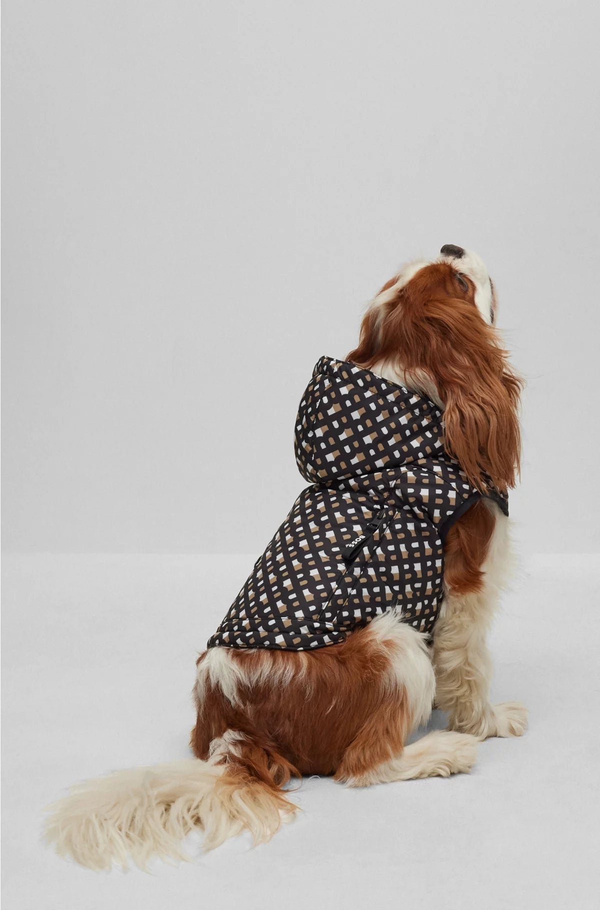 DOG WATER-REPELLENT PADDED JACKET